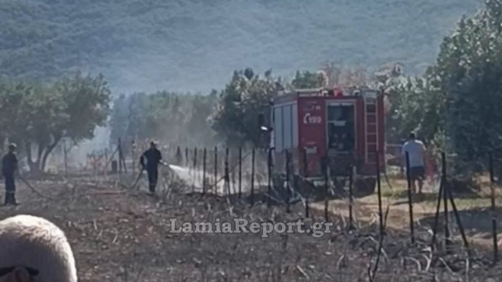 Φθιώτιδα: Πρόλαβαν επικίνδυνη πυρκαγιά δίπλα στο Κέντρο Υγείας Καμένων Βούρλων - Δείτε εικόνες