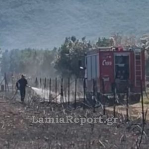 Φθιώτιδα: Πρόλαβαν επικίνδυνη πυρκαγιά δίπλα στο Κέντρο Υγείας Καμένων Βούρλων - Δείτε εικόνες