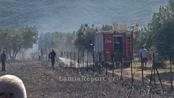 Φθιώτιδα: Πρόλαβαν επικίνδυνη πυρκαγιά δίπλα στο Κέντρο Υγείας Καμένων Βούρλων - Δείτε εικόνες
