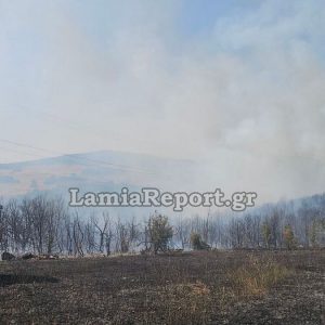 Πυρκαγιά στην περιοχή της Κάτω Δαμάστας