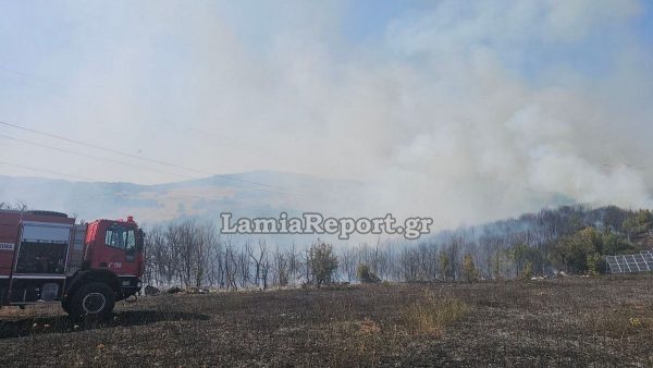Πυρκαγιά στην περιοχή της Κάτω Δαμάστας