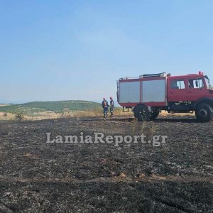 Ακραίος κίνδυνος για εκδήλωση πυρκαγιάς σε Βοιωτία, Εύβοια - Πολύ υψηλός για Φθιώτιδα