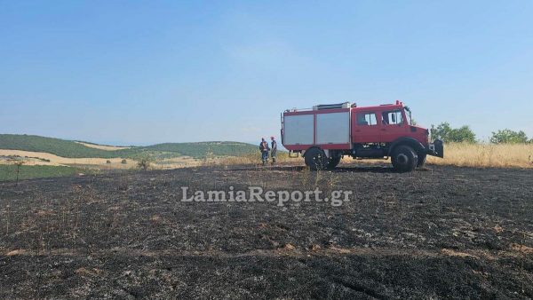 Ακραίος κίνδυνος για εκδήλωση πυρκαγιάς σε Βοιωτία, Εύβοια - Πολύ υψηλός για Φθιώτιδα