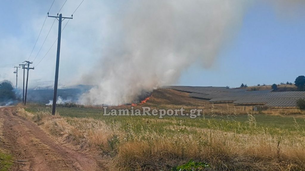Συναγερμός στην Πυροσβεστική για πυρκαγιά στο Παλαιοχώρι Λαμιέων - Δείτε εικόνες