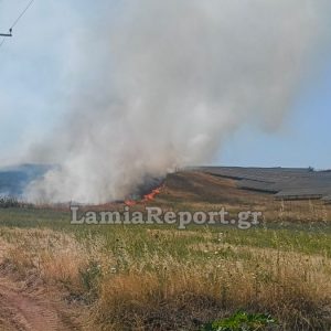 Συναγερμός στην Πυροσβεστική για πυρκαγιά στο Παλαιοχώρι Λαμιέων - Δείτε εικόνες