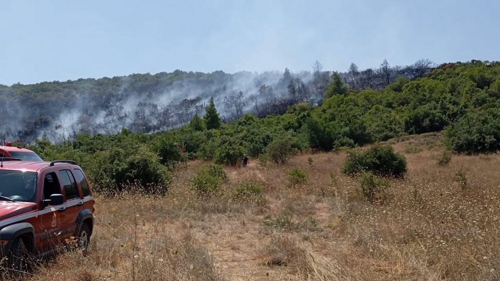 Πυρκαγιές: Σε «κίτρινο» συναγερμό την Τρίτη όλη η Φθιώτιδα και η Στερεά Ελλάδα