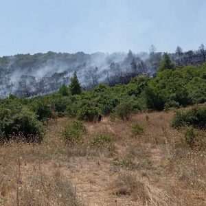 Πυρκαγιές: Σε «κίτρινο» συναγερμό την Τρίτη όλη η Φθιώτιδα και η Στερεά Ελλάδα