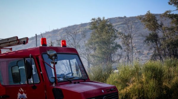 Πυρκαγιά σε δασική έκταση στην Κινέτα Αττικής - Μεγάλη επιχείρηση της Πυροσβεστικής