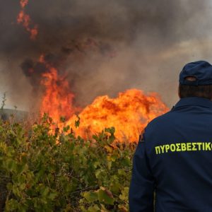 Πύρινος «εφιάλτης»: Στις φλόγες Κρήτη και Αχαΐα, μάχη με τις αναζωπυρώσεις στην Πάρο – Καλύτερη η εικόνα σε Άνδρο και Κάλυμνο