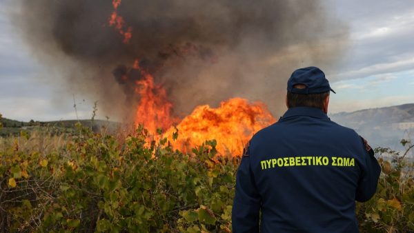 Συναγερμός για πυρκαγιά στο Νέο Μοναστήρι Δομοκού - Σηκώθηκαν και τα αεροσκάφη από Λαμία