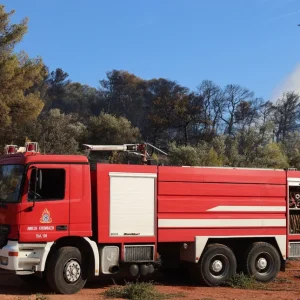 Οριοθετήθηκε μέσα σε 45 λεπτά η πυρκαγιά στα Σπάτα -Είχε σταλεί μήνυμα από το 112