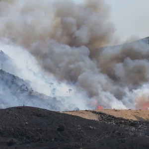 Θλίψη: Καίγεται το φοινικόδασος της Πρέβελης, δείτε βίντεο