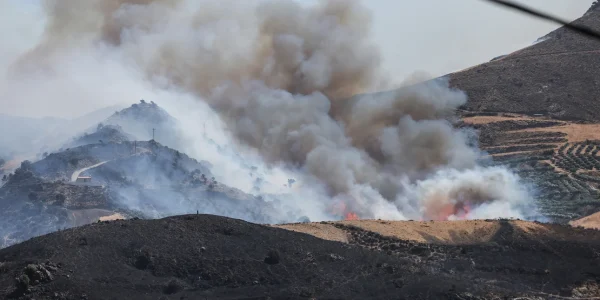 Θλίψη: Καίγεται το φοινικόδασος της Πρέβελης, δείτε βίντεο
