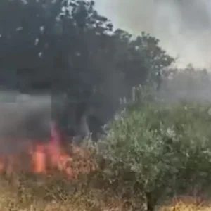 Δύο συλλήψεις για την πυρκαγιά στις Οινούσσες Σερρών – Βγήκαν εκτός δρόμου με το αυτοκίνητο, χτύπησε στο έδαφος και προκάλεσε σπίθες