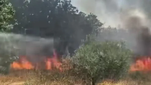 Δύο συλλήψεις για την πυρκαγιά στις Οινούσσες Σερρών – Βγήκαν εκτός δρόμου με το αυτοκίνητο, χτύπησε στο έδαφος και προκάλεσε σπίθες