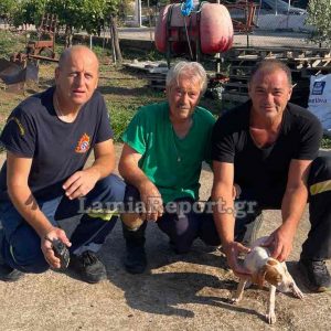 Πυροσβέστες έσωσαν σκυλάκι που είχε πέσει σε βόθρο στο Αμούρι του Δήμου Λαμιέων