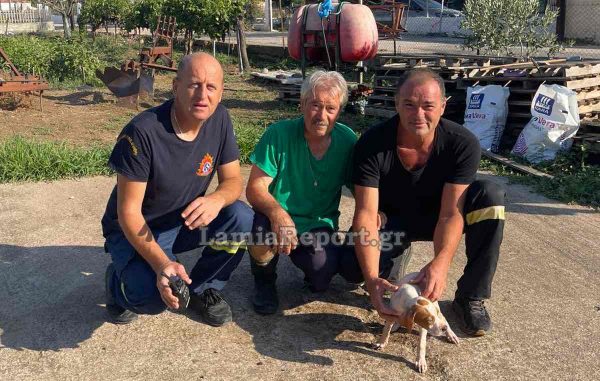 Πυροσβέστες έσωσαν σκυλάκι που είχε πέσει σε βόθρο στο Αμούρι Λαμίας