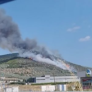 Φωτιά στο Σπαθοβούνι Κορινθίας: Μήνυμα 112 για ετοιμότητα, σηκώθηκαν 12 εναέρια - Δείτε βίντεο και φωτογραφίες