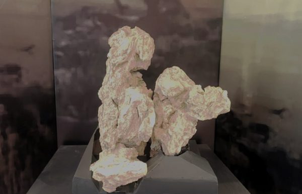 Έκθεση με απολιθώματα της Βόρειας Εύβοιας στο Μουσείο Φυσικής Ιστορίας Απολιθωμένου Δάσους Λέσβου