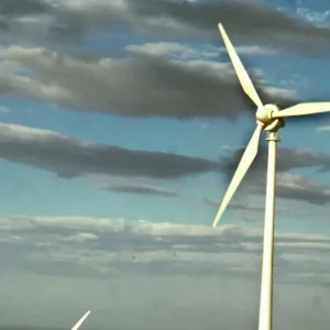 Παρέμβαση εισαγγελέα για τα αιολικά πάρκα μετά την καταστροφική φωτιά στην Αττικοβοιωτία