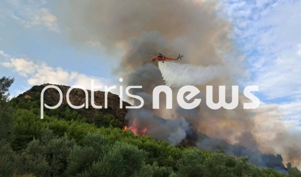 Μεγάλη φωτιά στο Μουζάκι Ηλείας – Οι φλόγες πριν την είσοδο του χωριού, στη μάχη και εναέρια μέσα