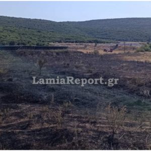 Πρόλαβαν τα χειρότερα οι πυροσβέστες στο Βαθύκοιλο Φθιώτιδας