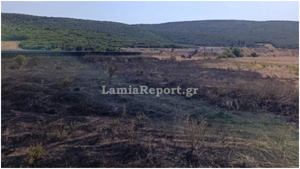Πρόλαβαν τα χειρότερα οι πυροσβέστες στο Βαθύκοιλο Φθιώτιδας