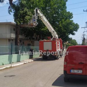 Λαμία: Η Πυροσβεστική έκοψε επικίνδυνο κλαδί που κρεμόταν από δέντρο