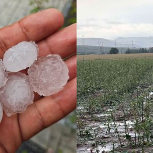 Εξάμηνη παράταση της κατάστασης έκτακτης ανάγκης για περιοχές του Δήμου Αμφίκλειας - Ελάτειας