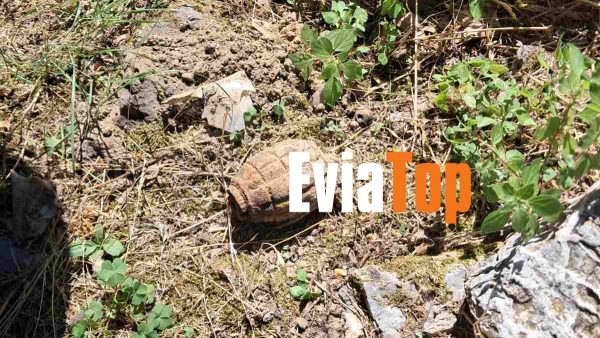 Παλιά χειροβομβίδα βρέθηκε σε αποθήκη στους Στροπώνες