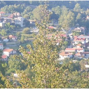 Το χωριό της Θεσσαλίας που "λύνει" το δημογραφικό - Το 70% των ζευγαριών είναι πολύτεκνα ή τρίτεκνα