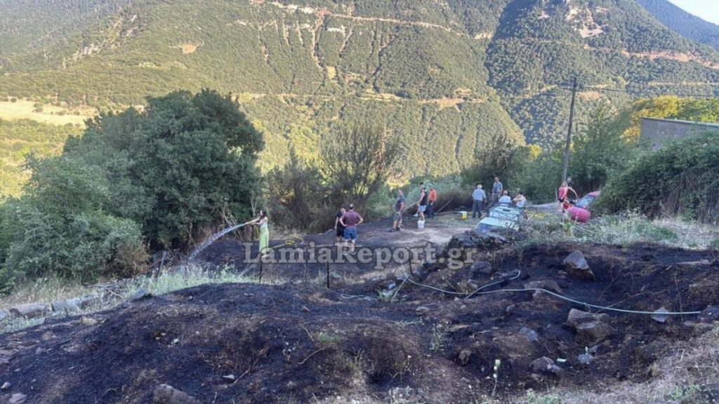 Πυρκαγιά σε δασική έκταση στη Δάφνη Ευρυτανίας - Δείτε εικόνες
