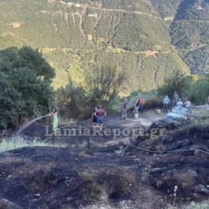 Πυρκαγιά σε δασική έκταση στη Δάφνη Ευρυτανίας - Δείτε εικόνες