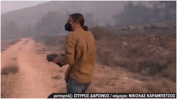 Δημοσιογράφος διέκοψε το live από τη φωτιά στον Κουβαρά για να σώσει χελώνα από τις φλόγες - Δείτε βίντεο