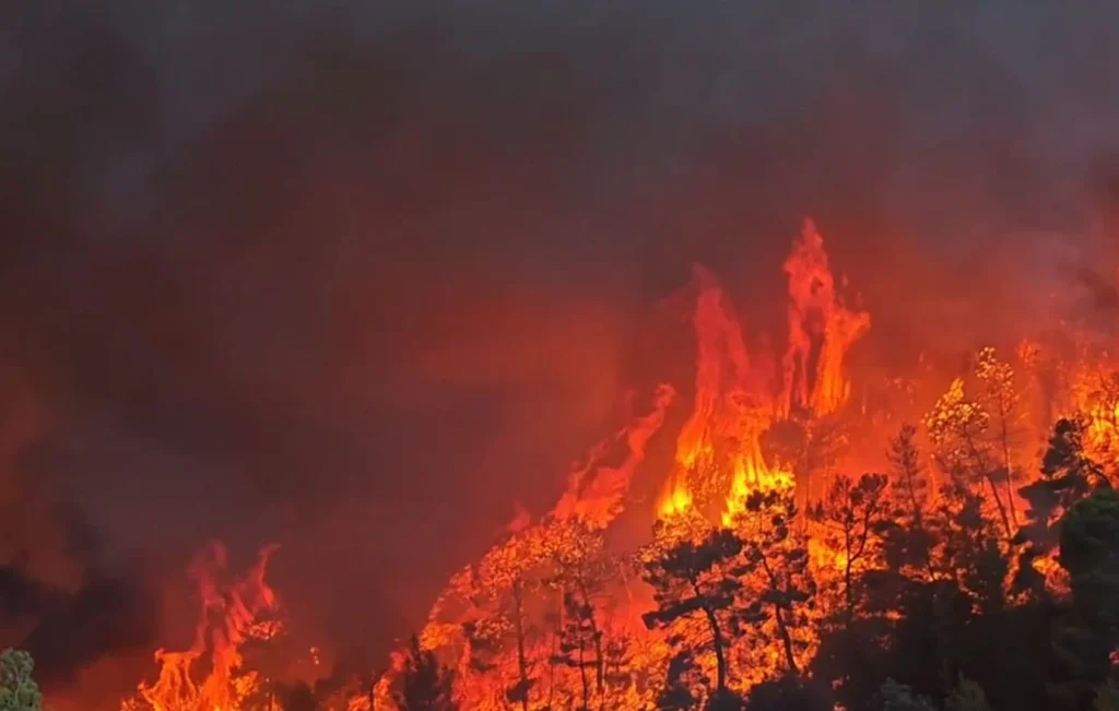 Με χαρακτηριστικά Megafire η φωτιά στο Πόρτο Γερμενό: Χωριό «φάντασμα» η Ψάθα - Οι φλόγες απειλούν τον Κιθαιρώνα