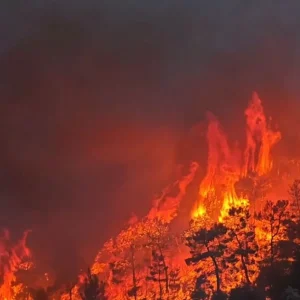 Με χαρακτηριστικά Megafire η φωτιά στο Πόρτο Γερμενό: Χωριό «φάντασμα» η Ψάθα - Οι φλόγες απειλούν τον Κιθαιρώνα