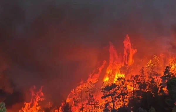Με χαρακτηριστικά Megafire η φωτιά στο Πόρτο Γερμενό: Χωριό «φάντασμα» η Ψάθα - Οι φλόγες απειλούν τον Κιθαιρώνα
