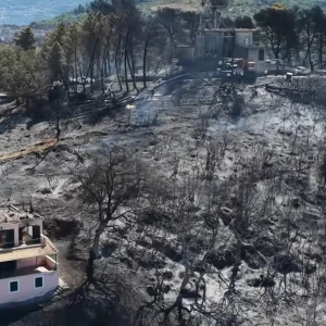 Συγκλονιστικές εικόνες από τη φωτιά στη Φωκίδα: Δείτε βίντεο από drone με τα καμένα στην περιοχή της Δωρίδας