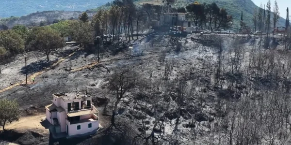 Συγκλονιστικές εικόνες από τη φωτιά στη Φωκίδα: Δείτε βίντεο από drone με τα καμένα στην περιοχή της Δωρίδας