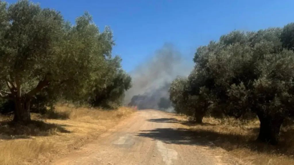 Φωτιά στο Πικέρμι: Βρέθηκε απανθρακωμένη σορός σε αυτοκίνητο – Οριοθετήθηκε η πυρκαγιά