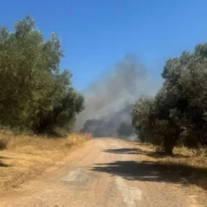 Φωτιά στο Πικέρμι: Βρέθηκε απανθρακωμένη σορός σε αυτοκίνητο – Οριοθετήθηκε η πυρκαγιά