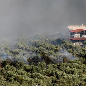 Μαίνονται οι φωτιές σε Πόρτο Γερμενό, Βοιωτία και Αιγιαλεία -Καίγονται σπίτια, χιλιάδες στρέμματα έγιναν στάχτη