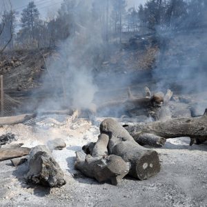 Συγκλονίζει εθελοντής για τη φωτιά στη Χαλκιδική: Η χειρότερη ημέρα της ζωής μου, μας κυνηγούσαν οι φλόγες