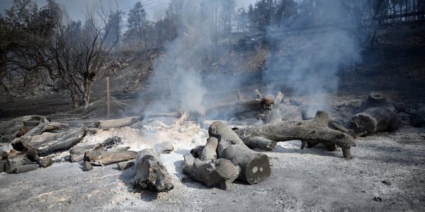 Συγκλονίζει εθελοντής για τη φωτιά στη Χαλκιδική: Η χειρότερη ημέρα της ζωής μου, μας κυνηγούσαν οι φλόγες