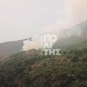 Φωτιά σε δασική έκταση στη Χίο: Ήχησε το 112 στο Βίκι, επιχειρούν πέντε εναέρια μέσα