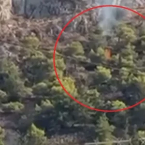 Νέα στοιχεία για τη φωτιά στον Προφήτη Ηλία στη Σαλαμίνα δείχνουν επικίνδυνο παιχνίδι ανηλίκων με αναπτήρα – Βίντεο ντοκουμέντο