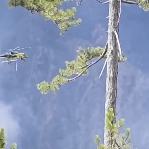 Φωτιά στα Γρεβενά: Ενισχύθηκαν οι δυνάμεις της πυροσβεστικής – Επιχειρούν 2 ελικόπτερα