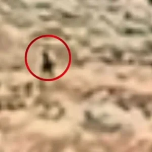Ρέθυμνο: Βίντεο ντοκουμέντο με τις κινήσεις μαυροφορεμένου άνδρα λίγο πριν ξεσπάσει η φωτιά στον Ασώματο
