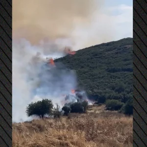 Πυρκαγιά στο Στεφάνι Κορινθίας, 112 για ετοιμότητα, 7 εναέρια στη μάχη