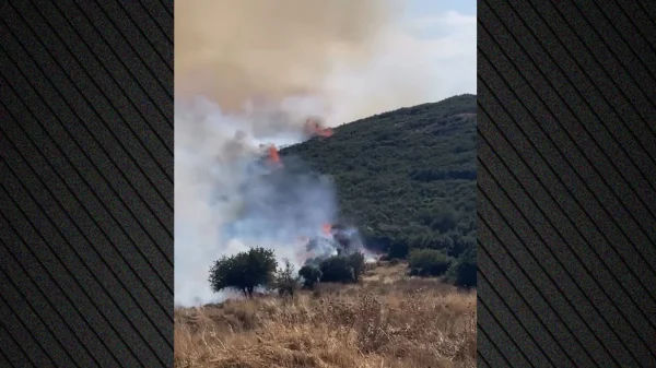 Πυρκαγιά στο Στεφάνι Κορινθίας, 112 για ετοιμότητα, 7 εναέρια στη μάχη